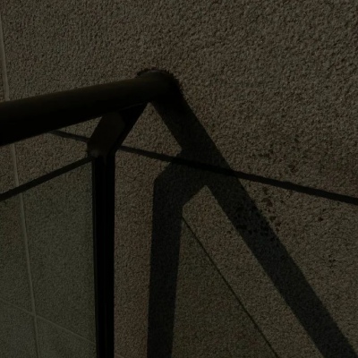 武定福瑞交流群